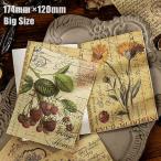  материалы бумага книжка за границей дизайн бумага довольно большой переплёт 174×120mm Vintage бумага ko Large . материалы бумага материалы бумага фон бумага retro античный sztz-30-282