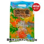 ショッピング恐竜 恐竜ポップキャンディ 70g 40袋(20×2、1c/s)