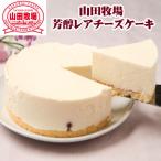 山田牧場 芳醇レアチーズケーキ 濃厚クリーミーな牧場チーズケーキ ギフト