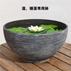 睡蓮鉢 睡蓮の鉢 ?睡蓮鉢+大型 睡蓮鉢プラスチック 睡蓮鉢+大型+プラスチック スイレンバチ 蓮 鉢植え 植木鉢 石 水耕植木鉢プラスチック製の模造