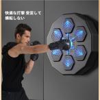  музыка бокс Target орнамент RGB свет реакция накладка перчатка есть ребенок . взрослый . можно наслаждаться звук ge- движение для бытового использования . безопасность . использующий установка положение . тренировка. kotsu