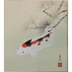 肉筆色紙　季節春　松鯉　田中美法