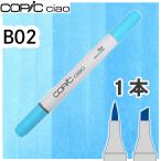 ko pick Ciao одиночный товар B02