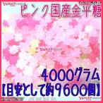  business use pastry wholesale store GG... plan OE Ishii 4000 gram [ standard as approximately 9600 piece ] pink domestic production kompeito candy ×1 sack [fu][ free shipping ( Okinawa is postage separately )]