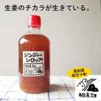 桐島畑のジンジャーシロップ 480g入り　高知県四万十川町産しょうが　生姜シロップ　しょうがシロップ