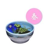  Shigaraki . оризия горшок 