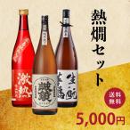 熱燗セット720ML×3本日本酒飲...