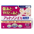 [第2類医薬品]アットノンEXジェル 15g[皮膚の薬][小林製薬株式会社][メール便対応商品][SBT]