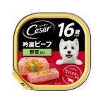 ma-s Japan ограниченный si- The -16 лет c . выбор говядина овощи ввод 100g[happiest][SBT]