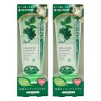 [2本セット]リベルタ デンティス チ