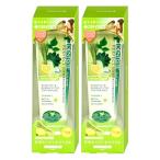 [2本セット]リベルタ デンティスチ