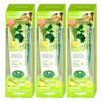 [3本セット]リベルタ デンティスチ