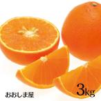 媛一 まどんな 3kg 送料無料 約20玉から30玉 小傷あり みかん 別名： 紅まどんな 紅マドンナ ＜12月中旬より順次出荷＞