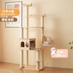 キャットタワー 据え置き 多頭飼い 透明宇宙船 ネコタワー 上り下りしやすい 爪とぎポール 木製 猫タワー 可愛い 子猫 大型猫 ペット用品 安定性 運動不足解消