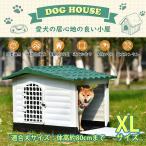 [ re-arrival ] kennel outdoors outdoors Circle XL large dog door attaching pet house pet cage plastic interior outdoors Bob house pet Circle kennel summer winter 