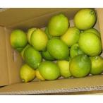 ショッピング送料込 安心の国産レモン（秀）　約　3ｋｇ入(送料込)