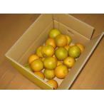  оранжевый (....)pon уксус как?!! примерно 4kg входить ( включая доставку )