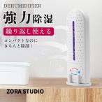 2点目300円OFF!除湿機 小型 除湿器 コンパクト 省エネ 強力除湿 梅雨対策 部屋干し ダニ対策 軽量 おしゃれ