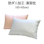 防ダニ加工 清潔枕（43×63cm） 枕 ピロー プレゼント