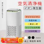 母の日 2024 空気清浄機 車内用 車載 小型 イオン発生機 空気清浄機 脱臭 花粉症対策 アロマ タバコ 除菌消臭 ホルムアルデヒド 卓上 家庭用 車用