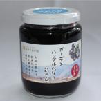  сад Huckleberry джем гладкий модель 260g