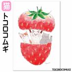 tokoro com gi открытка кошка рисунок клубника многоцелевой карта K06-PG-262 сделано в Японии бумага письмо кошка смешанные товары кошка товары симпатичный модный подарок подарок день рождения . покупка 