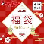 ショッピング広島 【期間限定】福袋2026 梅セット 10点入り オタフクソース たこ焼 お好み焼き お好みソース とん平焼き キャベツ焼き チヂミ 広島焼き ヘラ