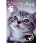  кейс нет ::nyan Chan .. american Short волосы - б/у DVD