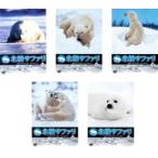  кейс нет :: север высшее Safari withnai гель *ma-ven все 5 листов 1,2,3,4,5 все тома в комплекте б/у DVD