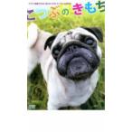 ケース無::こつぶのきもち 中古 DVD
