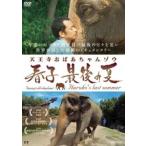 天王寺おばあちゃんゾウ 春子 最後の夏 レンタル落ち 中古 DVD