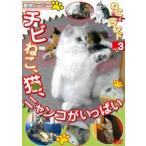  кейс нет :: животное Movie .. кошка . Land 3chibi.., кошка,nyanko. много прокат б/у DVD