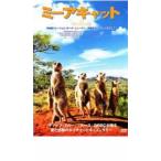 �P�[�X��::�~�[�A�L���b�g �����^������ ���� DVD