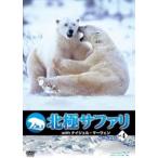  кейс нет :: север высшее Safari withnai гель *ma-ven4 б/у DVD
