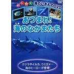 ケース無::あつまれ!海のなかまたち レンタル落ち 中古 DVD