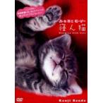  кейс нет ::[ есть перевод ]....*.-.-.. кошка * принадлежности нет б/у DVD