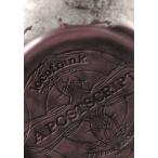  кейс нет ::locofrank Logo Frank A POSTSCRIPT б/у DVD