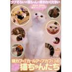 ケース無::猫カフェ カールアップカフェ の猫ちゃんたち レンタル落ち 中古 DVD