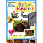 ダーウィンの動物大図鑑 はろ〜!あにまる きょうのかわいい! ラブリーな動物大集合 コアラ・カピバラ・アカカンガルー レンタル落ち 中古 D