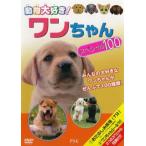 ケース無::動物大好き!ワンちゃん スペシャル100 中古 DVD
