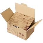  ржавчина ko Large .-2 доставка домой 60 размер (10 листов ) CTG-CT2