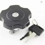  крышка лючка бензобака ключ 2 шт есть RZ350 RZ250 RZ125 Serow 225 TW200 11H-24602-10-00
