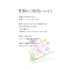 年賀状じまい はがき 年賀状やめたい 文章印刷済み 10枚 (清華デザイン 高齢)