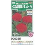ケイトウ 久留米けいとう 切花用プライド[906335]