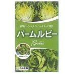【レタス】パームルビ