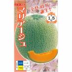 【メロン】赤肉　マリ