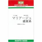 【メロン】赤肉　マリ
