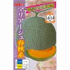 【メロン】赤肉　マリ
