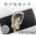 ショッピング場所 能登かき　殻付　（30個　約3.5kg）（牡蠣ナイフ、片手用軍手付）