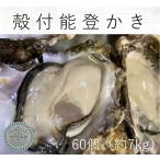 能登かき　殻付　（約６０個　約７kg）（牡蠣ナイフ、片手用軍手付）